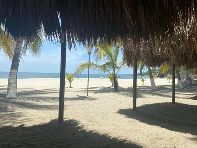 a beach with some palm trees and the ocean at Playa Los alcatraces in Santa Marta