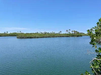 an island in the middle of a body of water at Prueba1 in Tintipan Island