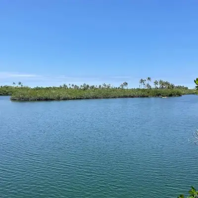 Prueba1