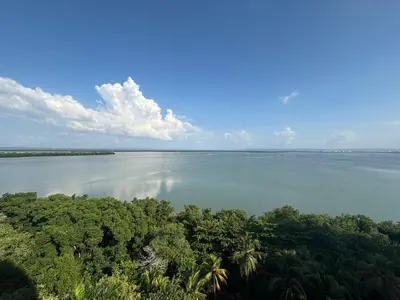a view of a large body of water with trees at Amazing Bay View Apartment in Cartagena! in Cartagena de Indias