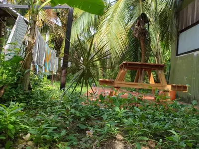 a wooden bench sitting in the middle of a garden at Lala's Place in Isla Fuerte