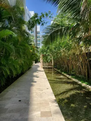 a pathway with palm trees and a building at 2MV-5G Apartamento de 2 Alc Vista al mar con A A Piscina y Wifi in Cartagena de Indias