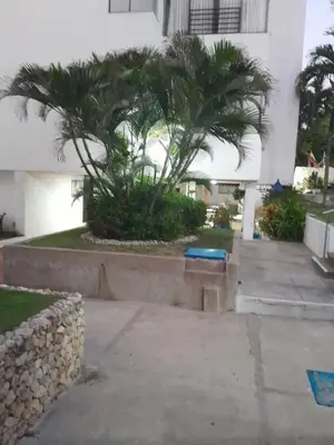 a palm tree in front of a building at Habitacion en el Norte cerca al Malecón in Barranquilla