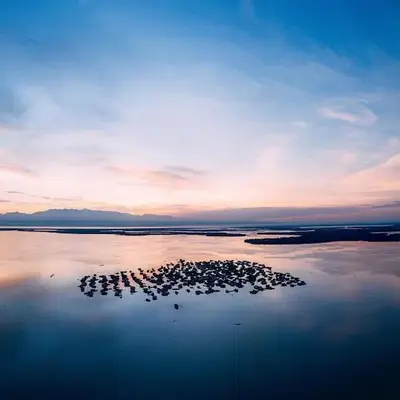 Laguna tour