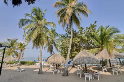 a beach with tables and chairs and palm trees at Hermoso Apartamento Frente al Mar 2 Habitaciones PAZ146 in Coveñitas