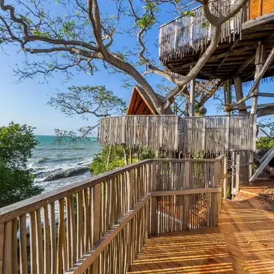 COCO SALVAJE Tree House