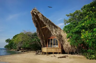 a hut on a beach with trees and water at Isla Corona in Baru