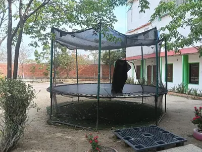 Gallery image of Hostal BioHotel Caribe Green in Santa Marta