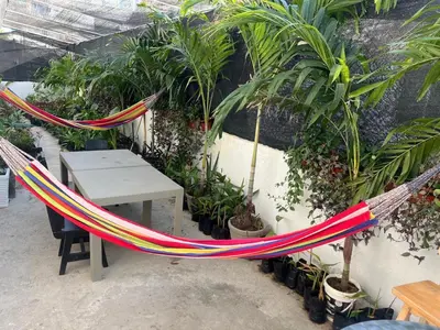 a hammock in a garden with a table and potted plants at Habitación cerca a la playa 105 in Cartagena de Indias