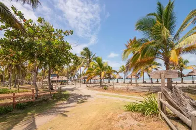 a dirt road with palm trees on the beach at Cabaña San Miguel in Moñitos