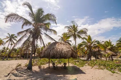 two chairs under a straw hut on a beach with palm trees at Cabaña San Miguel in Moñitos