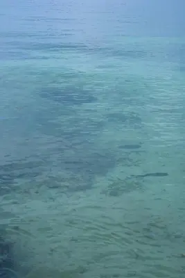 a large body of clear blue water with rocks at Villa Luz Coastal Sanctuary in Tintipan Island
