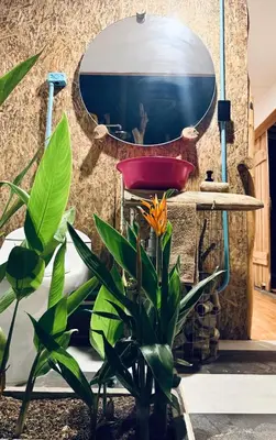 a bathroom with a mirror and a plant at WIND en Mojarra Beach Aire acondicionado Habitación privada in Salina de Rey