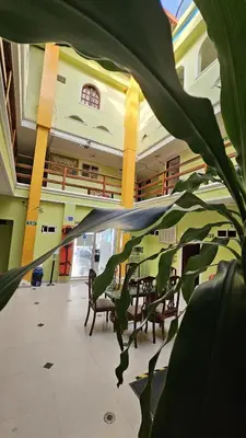 a plant in the middle of a room with chairs at Hotel Barranquilla Inn in Barranquilla