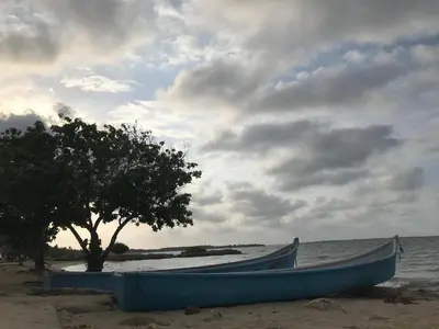 a blue boat sitting on the beach next to a tree at Cabaña MARDELA Casa de Playa in San Antero