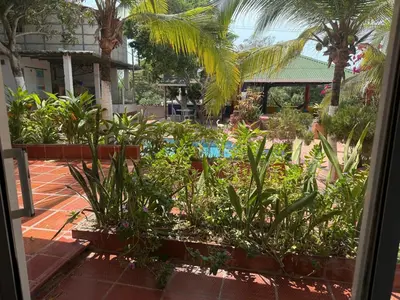 a garden with plants and palm trees and a pool at Club House in Maizal