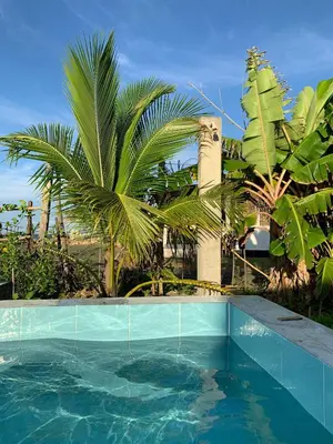 a swimming pool with palm trees in the background at Serenity Home in San Bernardo del Viento
