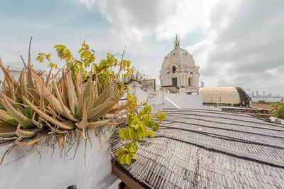 a rooftop with plants on the roof of a building at Cozy apartment in the old city 421 in Cartagena de Indias