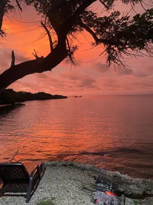 a sunset over the water with a bench under a tree at Agua Zalada in Isla Grande