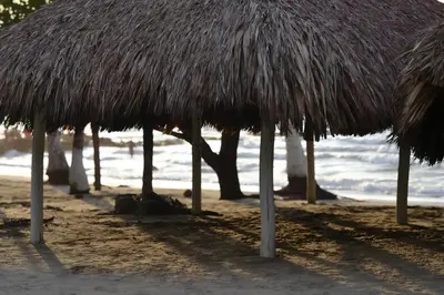 a group of straw umbrellas on the beach at Cabaña AveMaria in Coveñas