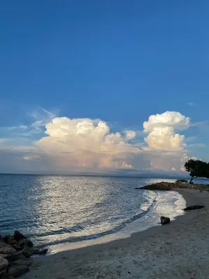 a beach with a tree and water and clouds at Las Margaritas Frente al Mar 2 in Coveñas