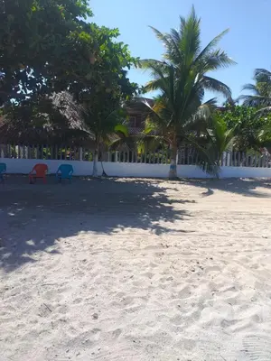 a sandy beach with two chairs and palm trees at Las Margaritas Frente al Mar 2 in Coveñas