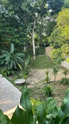 a garden with trees and plants and a wooden walkway at City Escape Casa Mariguana in Turbaco