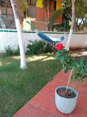 a flower in a pot on a patio with a hammock at Habitación con aire y piscina in Santa Veronica