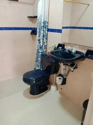 a bathroom with a blue toilet and a sink at Habitación con aire y piscina in Santa Veronica