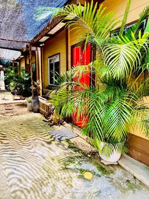 a house with a palm tree next to a red door at Aquarius Diving Club y Cabañas in Rincón