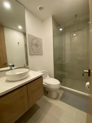 a bathroom with a toilet and a sink and a shower at Hermoso y acogedor Monoambiente in Cartagena de Indias