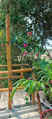 a wooden bench next to a garden with pink flowers at Cabaña Alojamiento Valhalla in Rincón