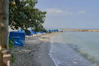 a beach with blue umbrellas and the water at Hermoso Apartamento Frente al Mar 2 Habitaciones PAZ127 in Coveñas