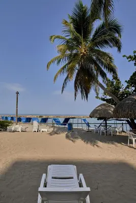 a beach with lounge chairs and a palm tree at Hermoso Apartamento Frente al Mar 2 Habitaciones PAZ127 in Coveñas