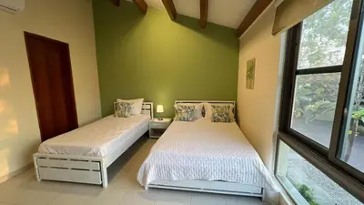 two beds in a room with green walls and windows at Exclusive Loft in Barú, access by sea and land in Isla Barú