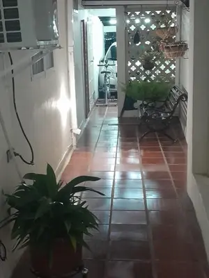 a hallway with two plants on a tile floor at Casa Estela in Cartagena de Indias