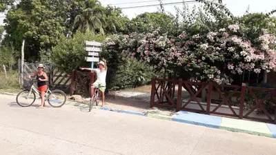 two people on bikes on a road with flowers at Monkey Afro Hostel in San Antero