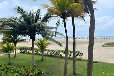 a group of palm trees on the beach at Beachfront Paradise with Pools and Spa in Cartagena de Indias