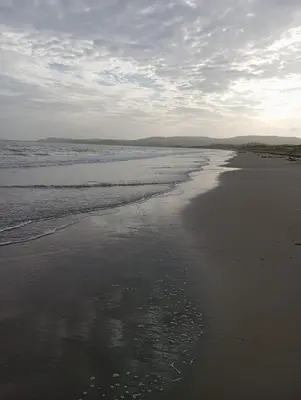 a beach with the reflection of the sky in the water at Habitaciones frente al mar in Carretal