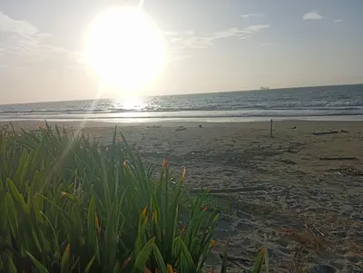 a beach with the sun rising over the ocean at Habitaciones frente al mar in Carretal