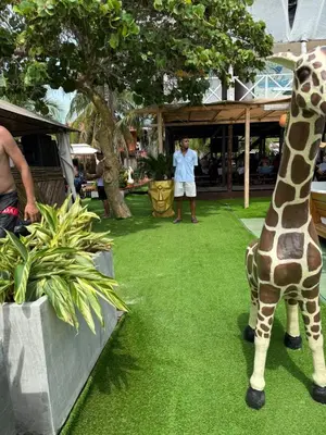 a fake giraffe standing on a field of grass at Habitaciones luxury baru in Playa Blanca