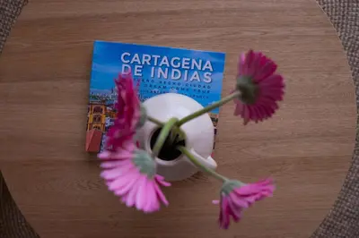 a book and two flowers on a table at Disfruta el espectáculo de la bahía in Cartagena de Indias