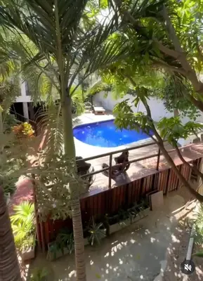 a pool with a palm tree in front of a house at Hotel Nativo Manzanillo in Cartagena de Indias