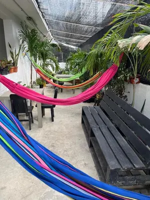 a group of hammocks in a room with a bench at Habitación cerca a la playa 205 in Cartagena de Indias