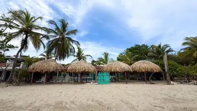 a beach with some straw umbrellas and palm trees at Cabaña Tierramia 3 in San Silvestre