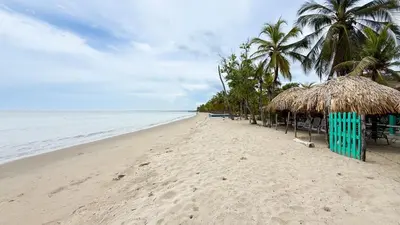 a beach with a bunch of chairs and palm trees at Cabaña Tierramia 3 in San Silvestre