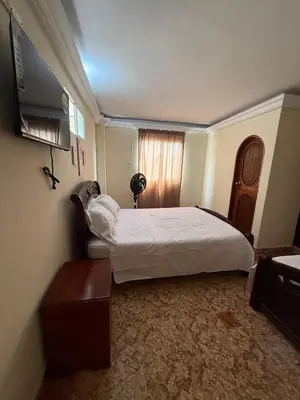a bedroom with a bed and a television in it at Hotel San Francisco Inn in Barranquilla