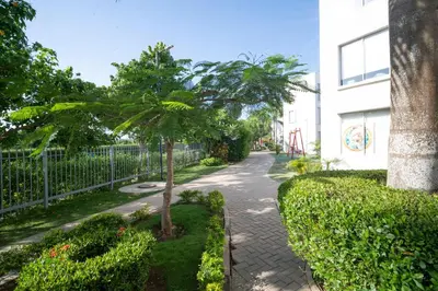a palm tree on a sidewalk next to a building at Refugio costero, Serena del Mar - Cartagena Indias in Serena del Mar