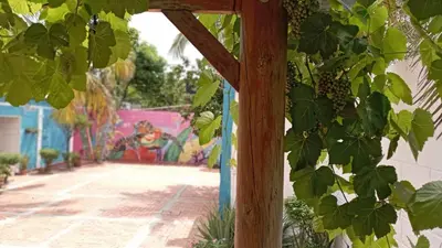 a bunch of grapes hanging from a wooden pole at Monkey man, Beach House in Santa Marta