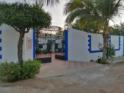 a gate to a building with a palm tree at Monkey man, Beach House in Santa Marta